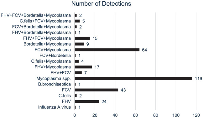 Feline ocular and respiratory infections: a retrospective analysis of clinical cases submitted to Georgia Veterinary Diagnostic Laboratories (2012-2022).