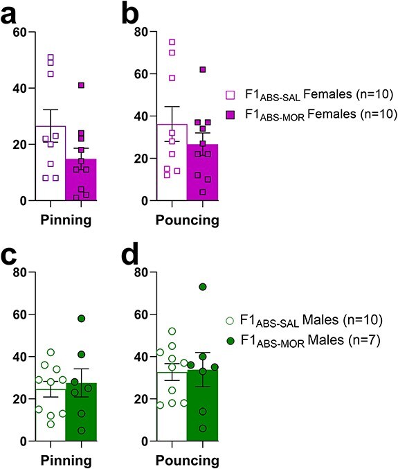 Extended abstinence from morphine alters sperm smRNA expression and prevents transmission of intergenerational phenotypes.