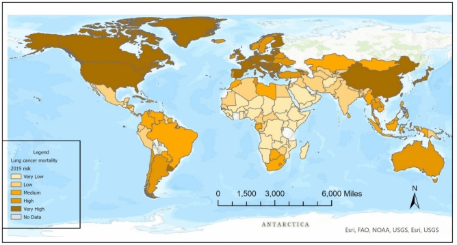Disentangling the effects of various risk factors and trends in lung cancer mortality.