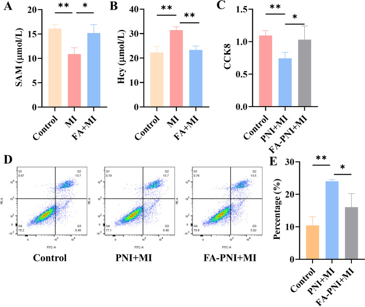 Folic Acid Promotes Peripheral Nerve Injury Repair via Regulating DNM3-AKT Pathway Through Mediating Methionine Cycle Metabolism.