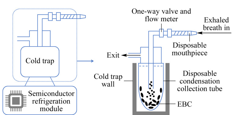 [Determination of glucose in exhaled breath and saliva by ion chromatography].