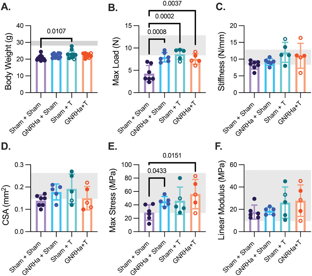 Functional changes to Achilles tendon and enthesis in an adolescent mouse model of testosterone hormone therapy.