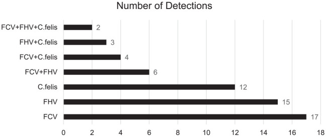 Feline ocular and respiratory infections: a retrospective analysis of clinical cases submitted to Georgia Veterinary Diagnostic Laboratories (2012-2022).