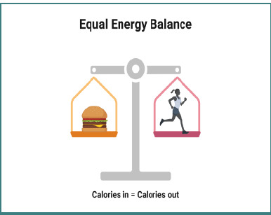 Efficacy of dietary and lifestyle interventions in obesity management: a therapeutic protocol at the Diabetes Department, Marius Nasta Institute of Pneumophthisiology, Bucharest, Romania.