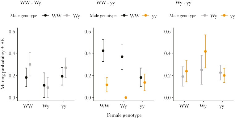 Ecological contexts shape sexual selection on male color morphs in wood tiger moths.
