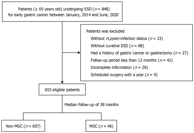 Comorbidities related to metachronous recurrence for early gastric cancer in elderly patients.