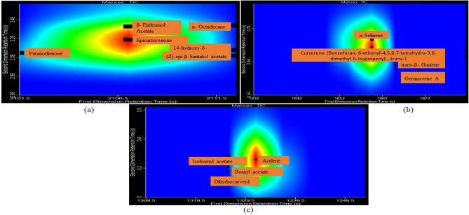 Unlocking terpenoid treasures of rhizome and leaf volatiles of Curcuma caesia Roxb through 1D and 2D GC × GC TOFMS analysis.