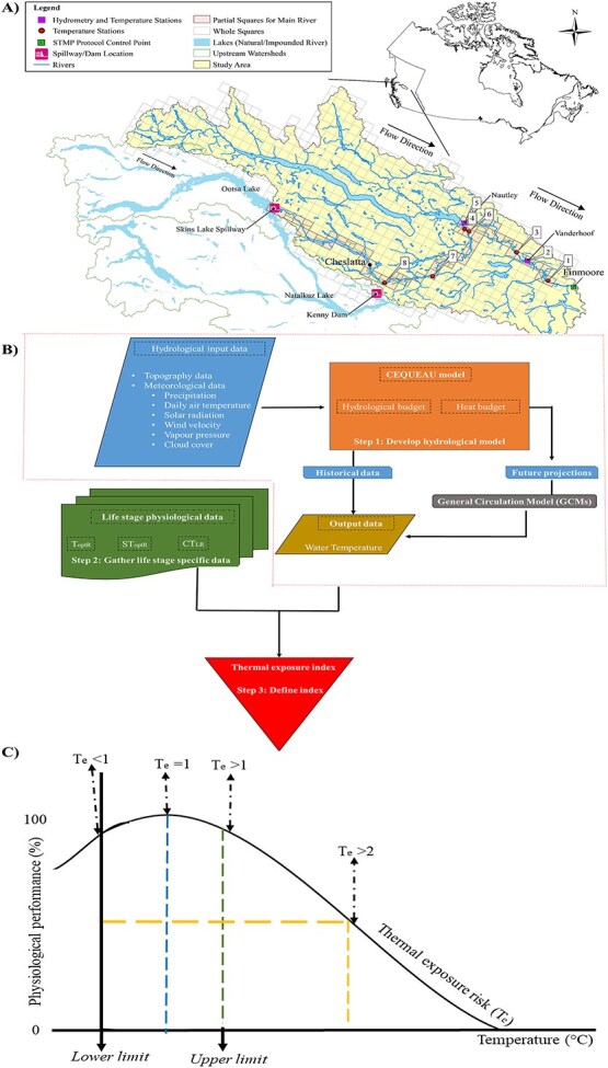 Assessing the impact of climate change and a water management programme on white sturgeon physiology in the Nechako River, British Columbia.