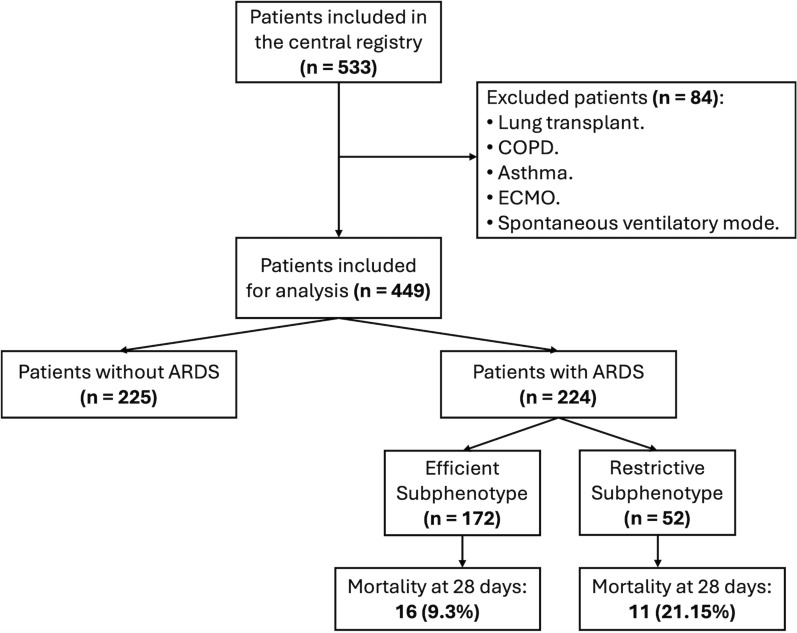 Machine learning-based identification of efficient and restrictive physiological subphenotypes in acute respiratory distress syndrome.