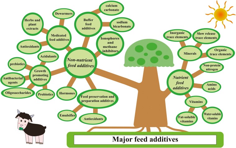Recent nutritional strategies and feed additives to stimulate proper rumen development in young goats.