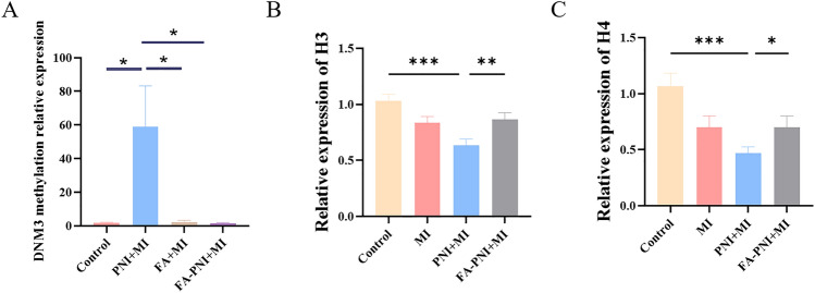 Folic Acid Promotes Peripheral Nerve Injury Repair via Regulating DNM3-AKT Pathway Through Mediating Methionine Cycle Metabolism.
