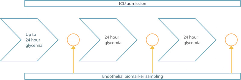 The Association Between Dysglycemia and Endotheliopathy in ICU Patients With and Without Diabetes: A Cohort Study.