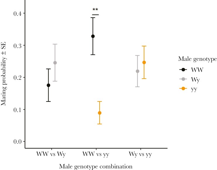 Ecological contexts shape sexual selection on male color morphs in wood tiger moths.