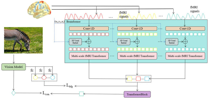 NeuroFusionNet: cross-modal modeling from brain activity to visual understanding.