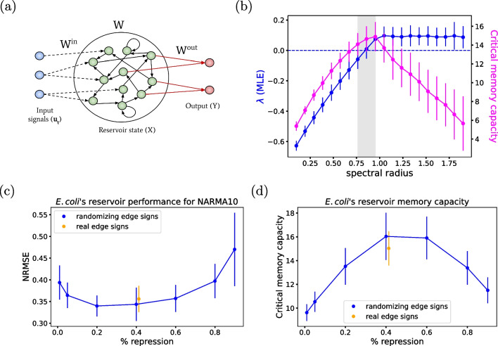 Structural determinants of soft memory in recurrent biological networks.
