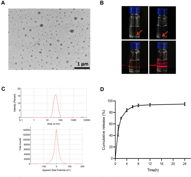 mPEG-PCL modified Caffeic acid eye drops for endotoxin-induced uveitis treatment.