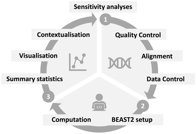 Evolutionary and epidemic dynamics of COVID-19 in Germany exemplified by three Bayesian phylodynamic case studies.