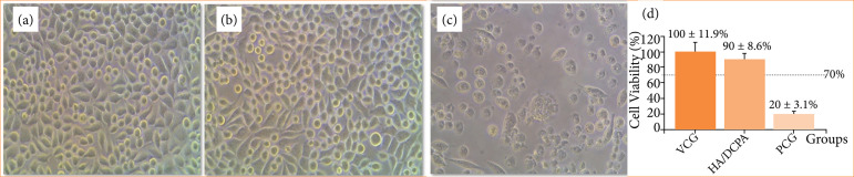 A new eggshell-derived calcium phosphate bioceramic for tissue engineering: cytotoxicity and histomorphometric study.