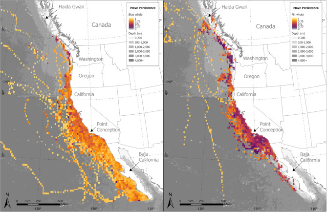 Ecological drivers of movement for two sympatric marine predators in the California current large marine ecosystem.