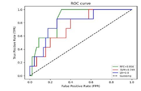Machine learning-based assessment of seizure risk predictors in myelomeningocele patients: A single-center retrospective cohort study.