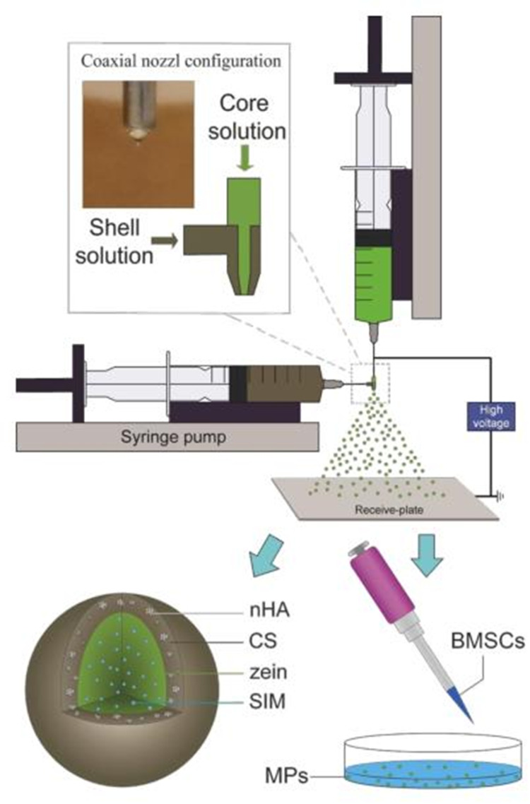 Artificial Single-Layer, Multi-Layer, and Gradient Scaffolds for Enhancing the Healing of Tendon-to-Bone Interfaces: A Mini-Review.