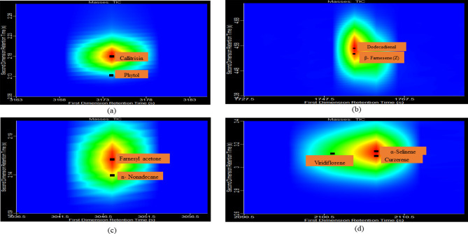 Unlocking terpenoid treasures of rhizome and leaf volatiles of Curcuma caesia Roxb through 1D and 2D GC × GC TOFMS analysis.