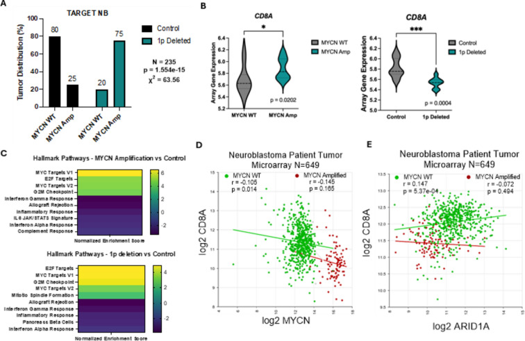 Loss of ARID1A leads to a cold tumor phenotype via suppression of IFNγ signaling.