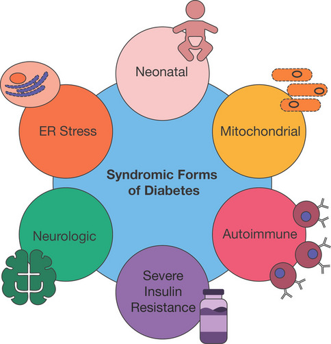 Neonatal and Syndromic Forms of Diabetes.
