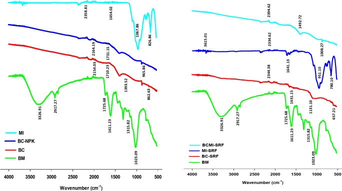 Incorporation of biochar and semi-interpenetrating biopolymer to synthesize new slow release fertilizers and their impact on soil moisture and nutrients availability.