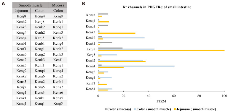 Roles of PDGF/PDGFR signaling in various organs.