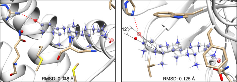 Determining the Molecular Shape of Progesterone: Insights from Laser Ablation Rotational Spectroscopy.