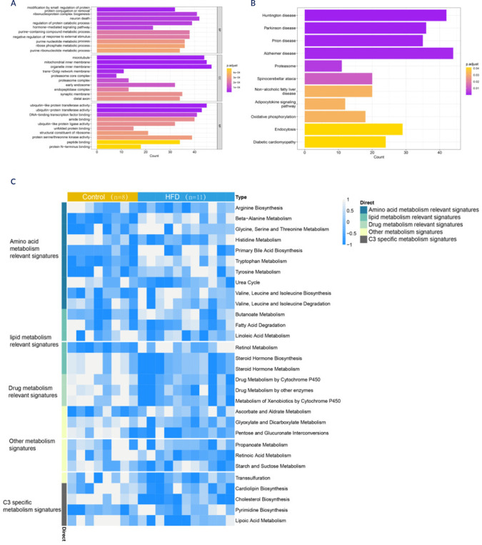 Comprehensive microarray analysis for the identification of therapeutic targets within HIF-1α signalling networks in diet-induced obesity via hypothalamic inflammation.
