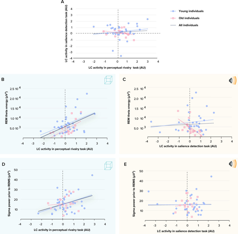 REM sleep quality is associated with balanced tonic activity of the locus coeruleus during wakefulness.