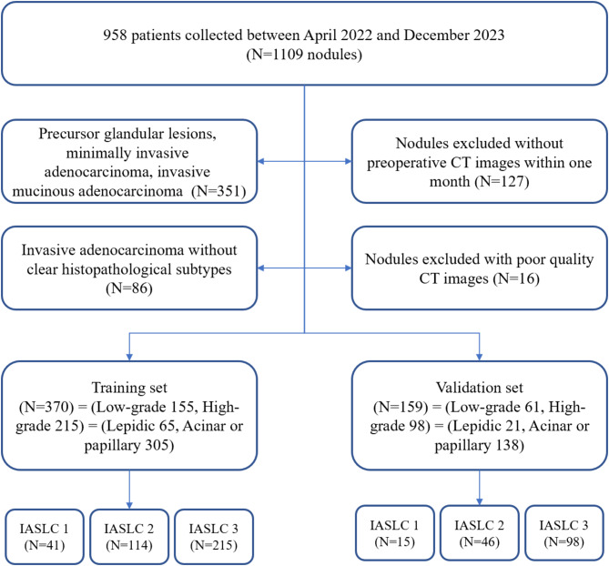 Differentiating high-grade patterns and predominant subtypes for IASLC grading in invasive pulmonary adenocarcinoma using radiomics and clinical-semantic features.