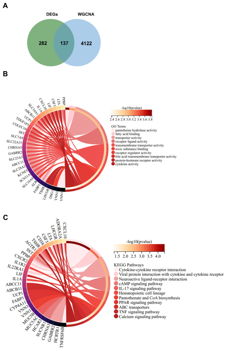 Berberine Exerts Neuroprotective Effects in Alzheimer's Disease by Switching Microglia M1/M2 Polarization Through PI3K-AKT Signaling.