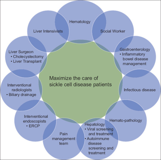 Emerging need for a hepato-hematology program for patients with sickle cell disease in Saudi Arabia.