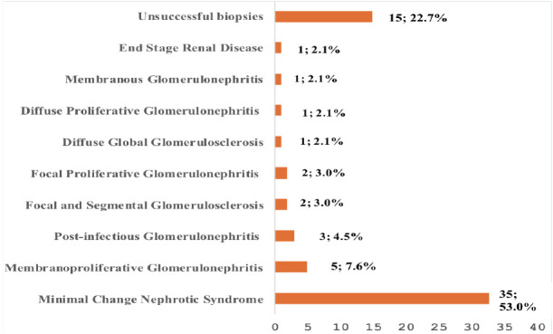 Outcome of Renal Tissue Biopsy in Children and Adolescents Presenting with Features of Nephropathy at a Tertiary Hospital in Nigeria.