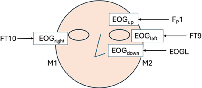 Multimodal machine learning for deception detection using behavioral and physiological data.