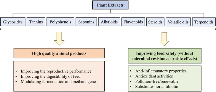 Recent nutritional strategies and feed additives to stimulate proper rumen development in young goats.