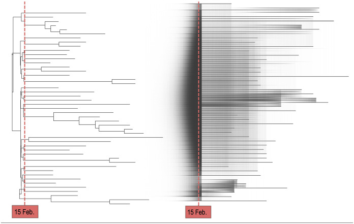 Evolutionary and epidemic dynamics of COVID-19 in Germany exemplified by three Bayesian phylodynamic case studies.