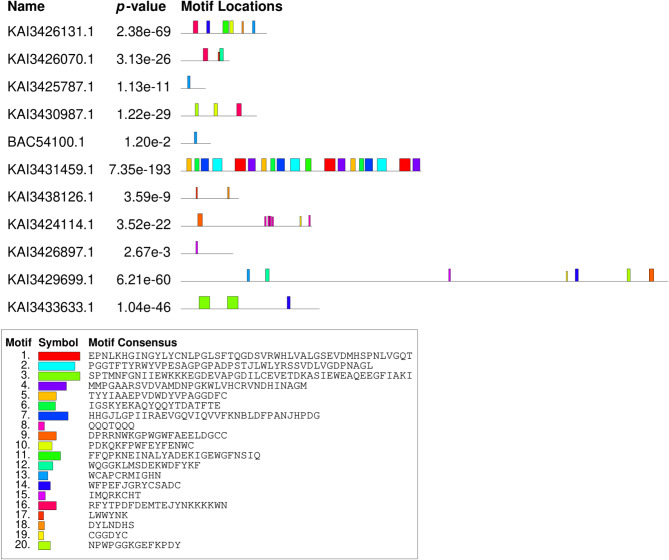 Genome-wide identification and characterization of stress-responsive genes in Chlorella vulgaris.