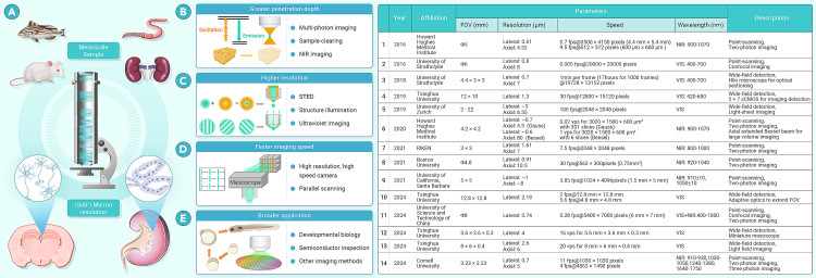 Mesoscopy: Innovations in high-resolution and large-field imaging.