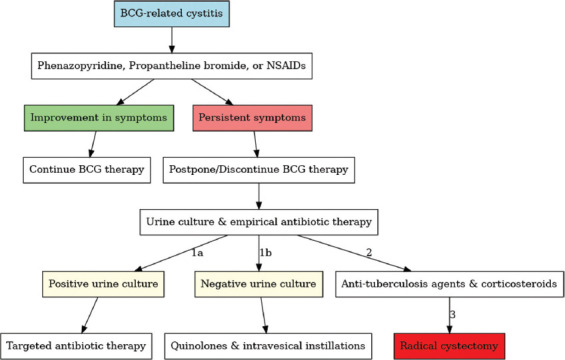 Hyaluronic acid as a treatment for refractory <i>Bacillus</i> Calmette-Guérin-induced cystitis: A narrative review.