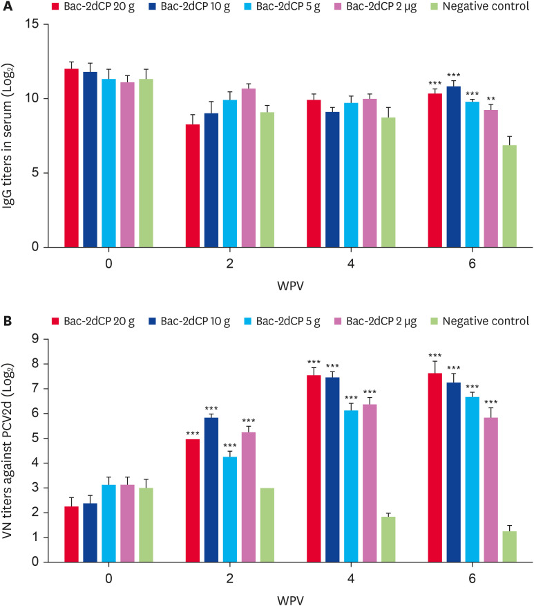 Evaluation of formulation and immunogenicity of porcine circovirus type 2d (PCV2d) vaccine for needle-free intradermal route injection.