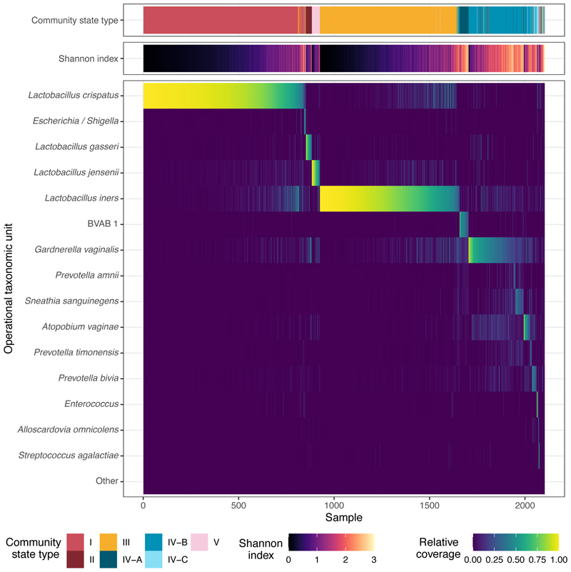Factors shaping vaginal microbiota long-term community dynamics in young adult women.