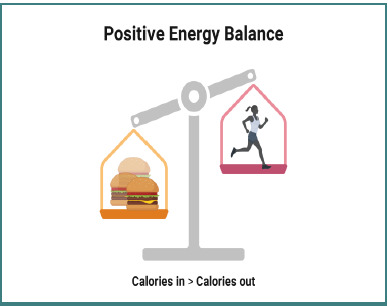 Efficacy of dietary and lifestyle interventions in obesity management: a therapeutic protocol at the Diabetes Department, Marius Nasta Institute of Pneumophthisiology, Bucharest, Romania.