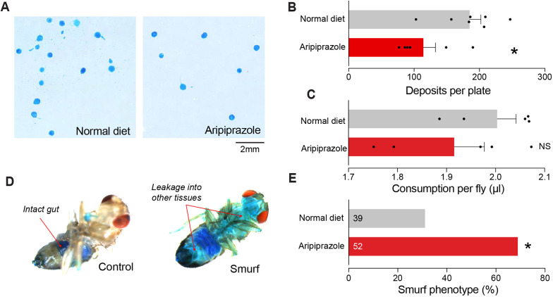 Oral administration of aripiprazole to Drosophila causes intestinal toxicity.