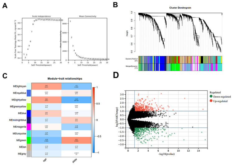 Berberine Exerts Neuroprotective Effects in Alzheimer's Disease by Switching Microglia M1/M2 Polarization Through PI3K-AKT Signaling.