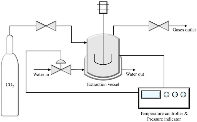 Optimization of combined subcritical water and CO<sub>2</sub> extraction for enhanced phenolics and antioxidant activity from coffee byproducts.