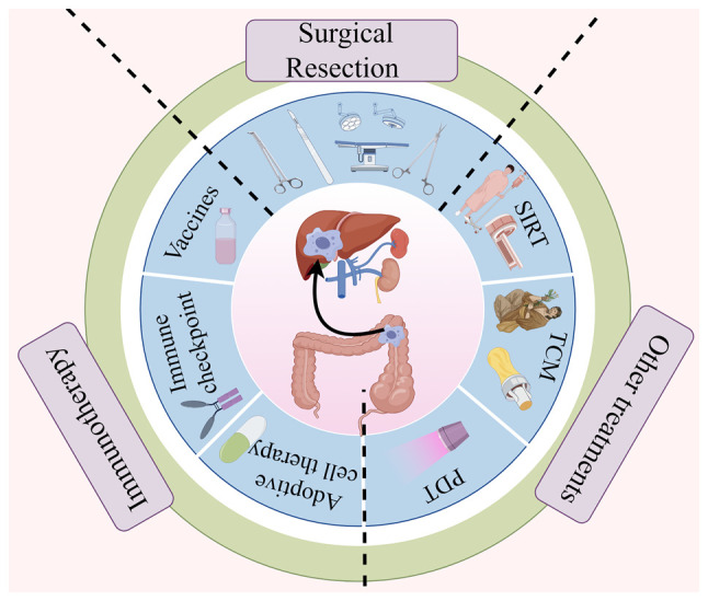 Pathogenetic development, diagnosis and clinical therapeutic approaches for liver metastasis from colorectal cancer (Review).
